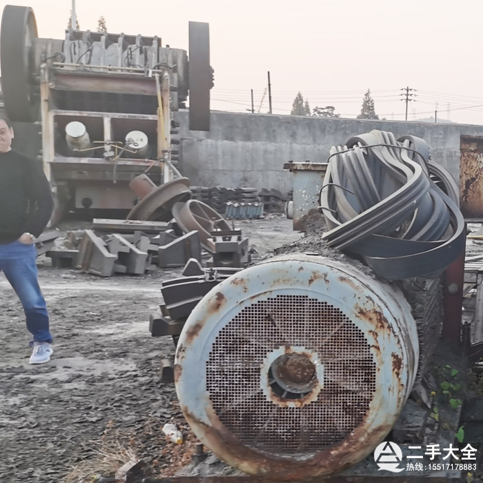大型破碎機電機 大型破碎機電機