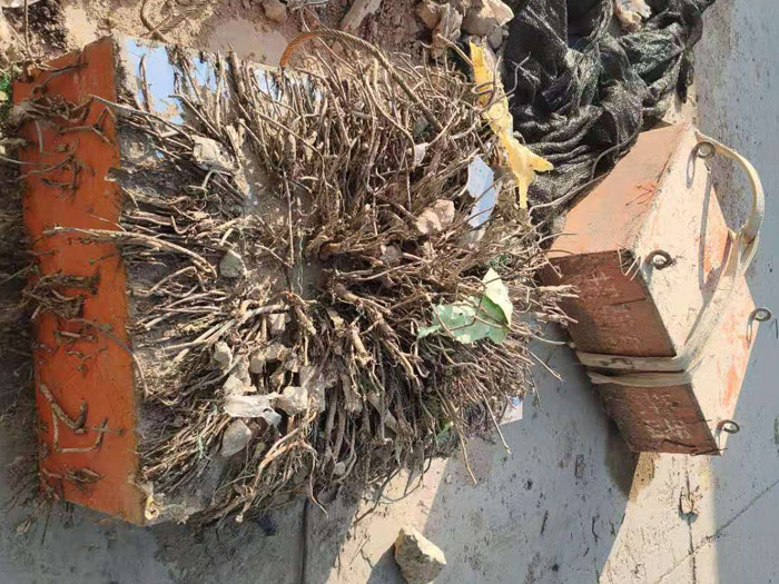 二手懸掛磁鐵 二手懸掛磁鐵