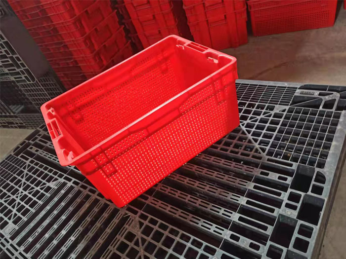 �������Ͽ�